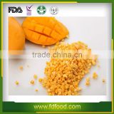 Natural Freeze Dried Mango