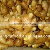 Fresh fat ginger from china