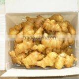 Ginger Manufacture thumbnail-1