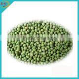 Whole Frozen Green Peas With Cheap Price thumbnail-1