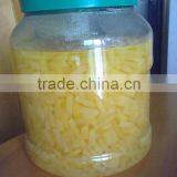 Nata de Coco / Konjac Jelly for Bubble Tea Ingredients