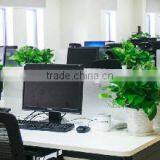 Luohe Quality Mechanical Equipment Co., Ltd. company overview - view 1 thumbnail