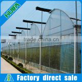 Easy Assemble Multi-span Industrial Greenhouse for Sale
