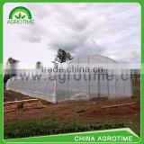Single Tunnel Greenhouse Economical for large scale growth