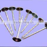New Product Roofing Nail Made in China thumbnail-3