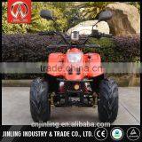 Multifunctional 110cc Atv Four Wheelers for Kids With CE Certificate thumbnail-1