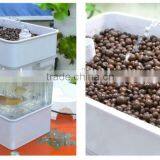 Mini Aquaponics System thumbnail-3