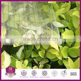 8mm Triple Wall Polycarbonate Hollow Sheet 2100*5800mm For Roofing & Skylight thumbnail-2