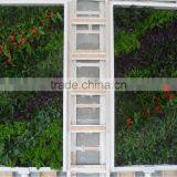 Fake Grass Wall Cheaper House Use (110X50cm) Artificial Wall Grass thumbnail-4