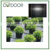 pp Spunbond Nonwoven Ground Cover Fabric With uv Treated thumbnail-3