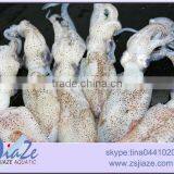 Frozen Food Baby Squid thumbnail-3