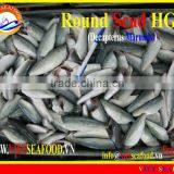 FROZEN HGT ROUND SCAD thumbnail-1
