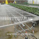 Agricultural Greenhouse Seedbed With Welded Wire Mesh thumbnail-1