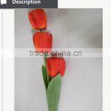 Colorful Wholesale Cheap Tulip Flower for Decoration thumbnail-4