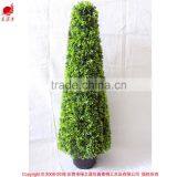 Potted Boxwood Tree for Christmas Decoration Store Decoration Boxwood Tree thumbnail-1