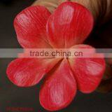 Plumeria Frangipani Flower Head Realistic Look Flower thumbnail-1
