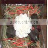 PB-660 Scented Potpourri Bags thumbnail-1