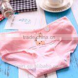 5 Pcs Women's Briefs Panties Gift Box Cotton Underwear Bowknot Lady's Lovely Underwear Panty thumbnail-3