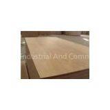Birch Plywood thumbnail-1