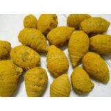 Turmeric Powder thumbnail-3