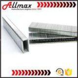 N12 Heavy Wire Staples thumbnail-1