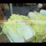 Commercial Vegetable Dicer Chives Cutting Machine Vegetable Cutter Machine With 304 Stainless Steel