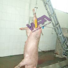 Modern Technology Pig Abattoir Equipment Pork Processing Plant With Slaughter Equipment Price