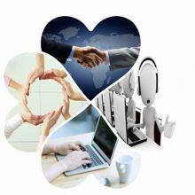 Alicia Import And Export Trade Co., Ltd company overview - view 1 thumbnail