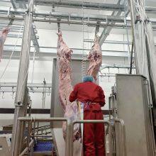 Cow Killing Machine Split Saw For Cattle Equipment thumbnail-4