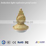 40w 50w 60w New Products Induction Lamps Explosion-proof Lights