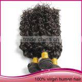 Tangle Free High Quality Unprocessed Brazilian Human Hair Afro Women Water Wave Hair Extension thumbnail-6