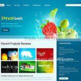 Website Design and Development