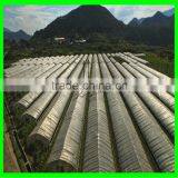 Elastic Insect Mesh Anti Bird Net for Organic Net Crop Veg Protection thumbnail-3