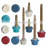 Nylon Screw