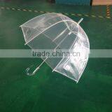 Auto Open Transparent Dome 23 Inch Pvc Umbrella thumbnail-4