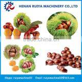 Best Seller Chestnut Peeling Machine | Chestnut Peeler