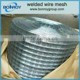 Electro Galvanized Welded Wire Mesh thumbnail-1