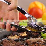 Lemon Juice for Steak thumbnail-1