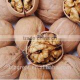 New Crop Bulk Walnut in Thin Shell for Sales thumbnail-5