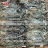 Frozen Squid Tentacle - Ommastrephes Bartrami thumbnail-1