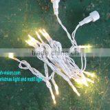 Led Decorative Garland/led Decorative Light