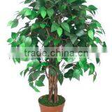 Mini Artificial Plants Silk Ficus Tree
