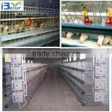 2013 hot-sell H type poultry battery cages