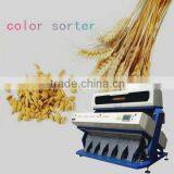 Wheat CCD Color Sorter, Wheat Machine, Flour Machine Factory