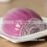 2015 Fresh Red Onion