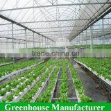 Customized High Quality Polycarbonate Sheet Agricultural Greenhouses thumbnail-4