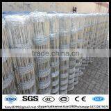 European Standard Hot Dipped Galvanized High Quality Field Fence