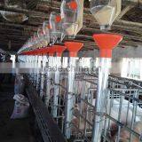Pig Farming Breeding Equipment/ Gestation Cage/pig Cage/Monomer Sty/pig Stall/sow Single Stall/nursery Stall/farrowing Cage thumbnail-4