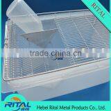 Laboratory Mouse Breeding Cages Rat Cages
