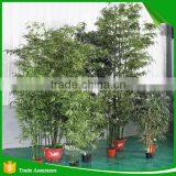 High Quality Ornamental Artificial Bamboo Tree thumbnail-1